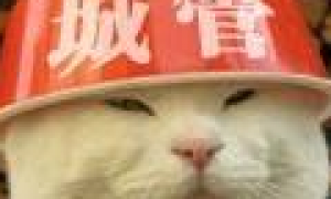退出国威系统编程